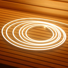 Prosaunas 16' led light IP67