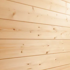 Patterson 6 Person Indoor Sauna