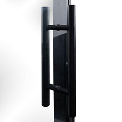 PROSAUNAS Sauna Door, 24" x 73", Black Alder frame, clear glass