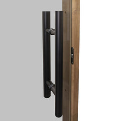 PROSAUNAS Sauna Door, 24" x 81", Thermo-Aspen frame, tinted glass